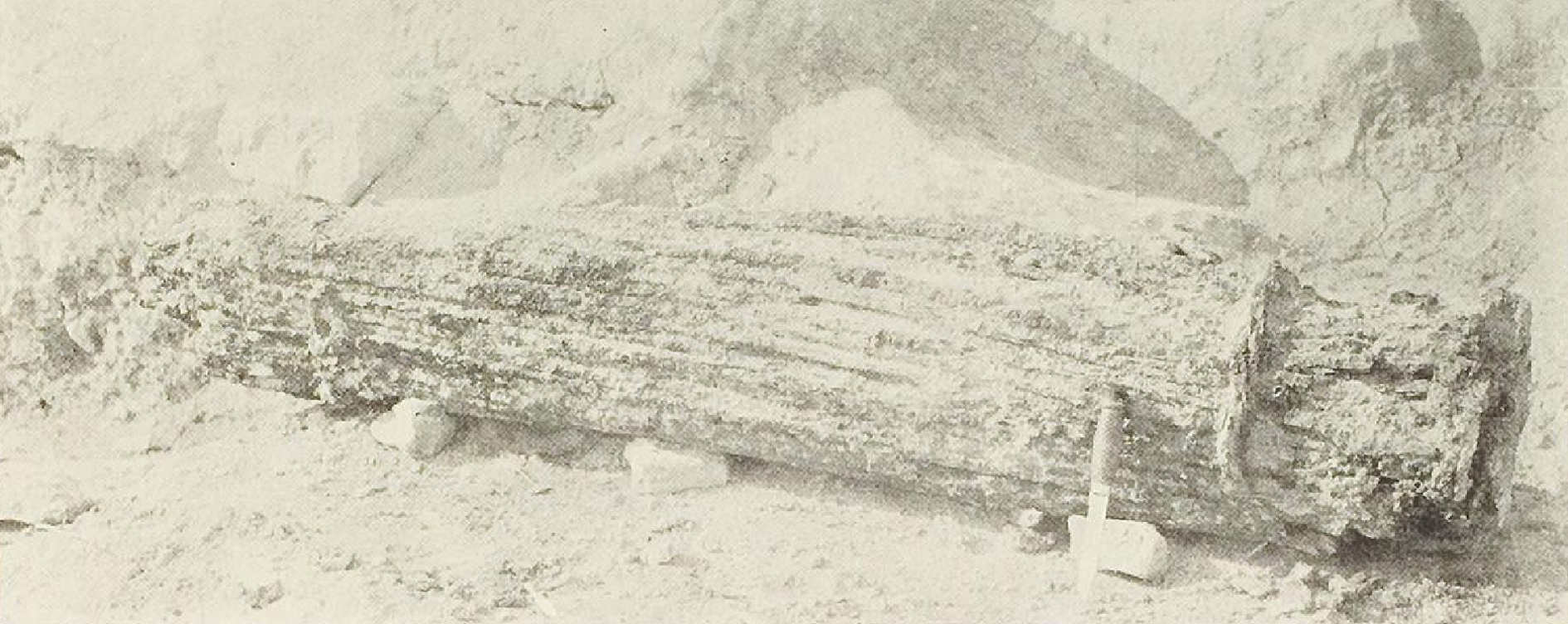 Band of obols excavated at the Heraeum of Argos